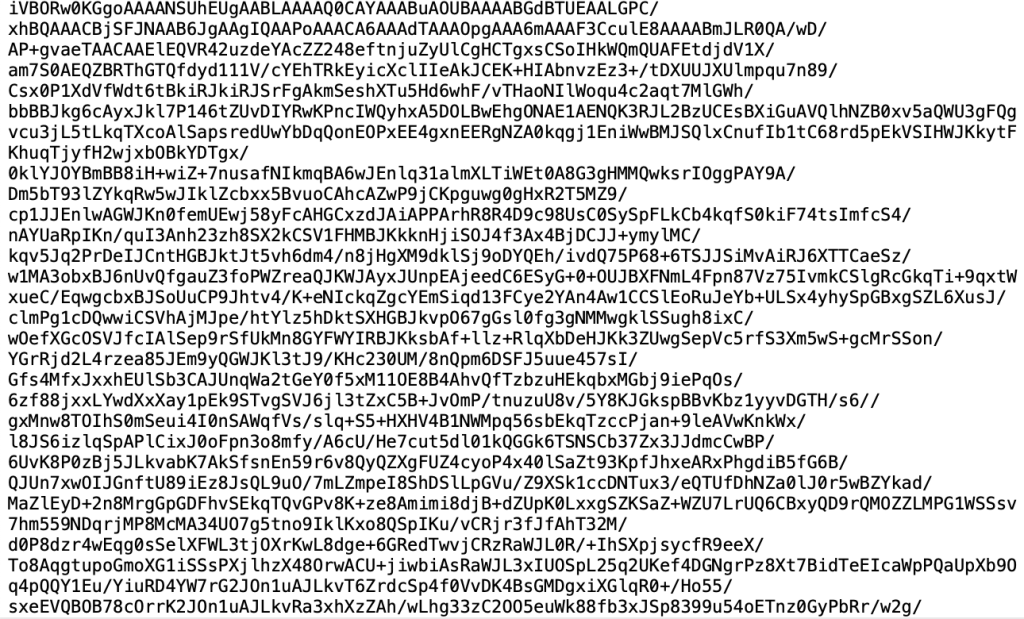 image 9 Base64 Encoding